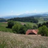 Kr&auml;uterkurs im M&ouml;schberg-Hotel